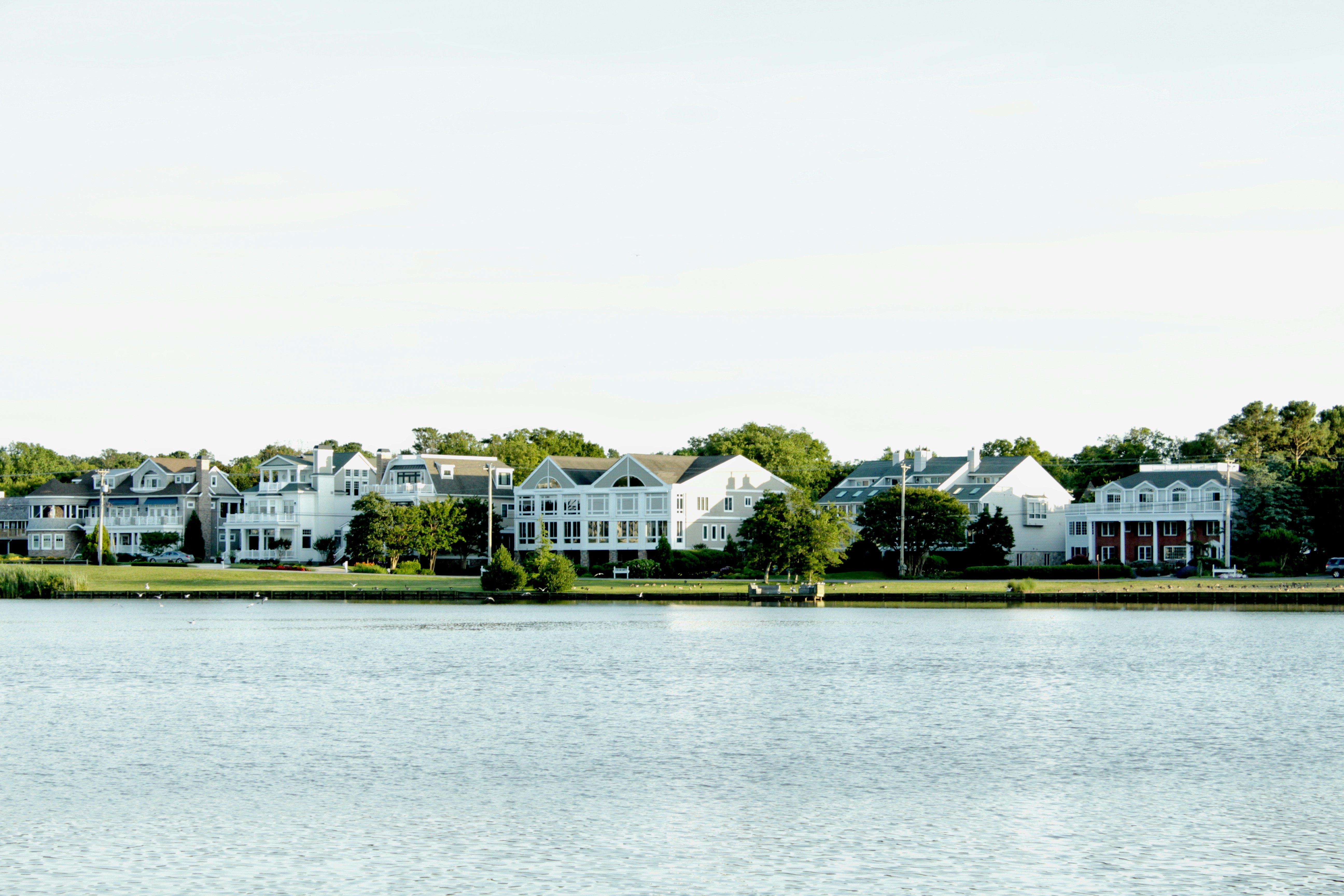 Hamptons